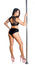Dahlia Pole Set